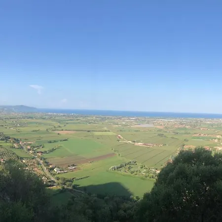 Vacanze A Paestum Collina E Mare Bed & Breakfast