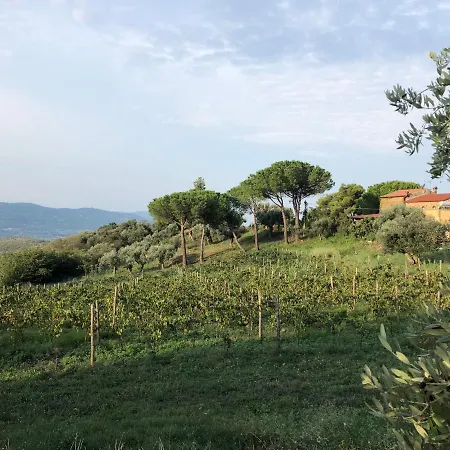 Vacanze A Paestum Collina E Mare *