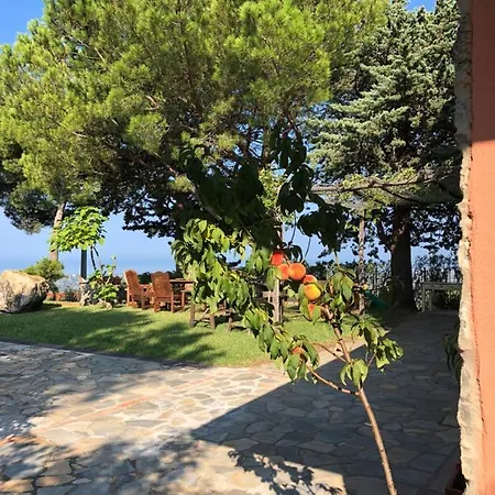 Bed & Breakfast Vacanze A Paestum Collina E Mare Capaccio